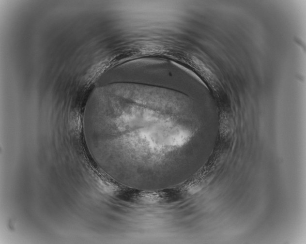 X0000096420405200802141639