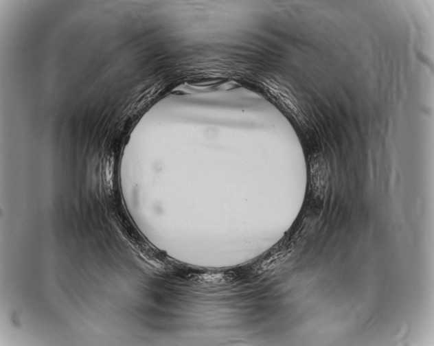 X0000096420406200802141639