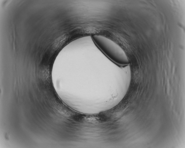 X0000096420407200802141639