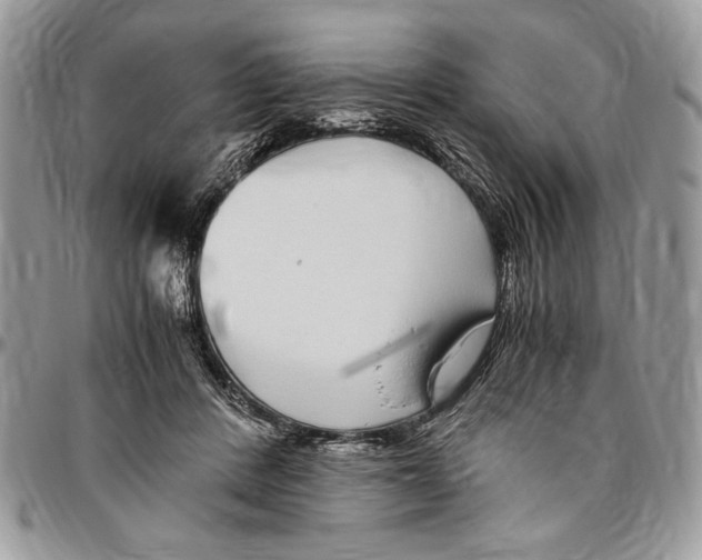 X0000096420408200802141639