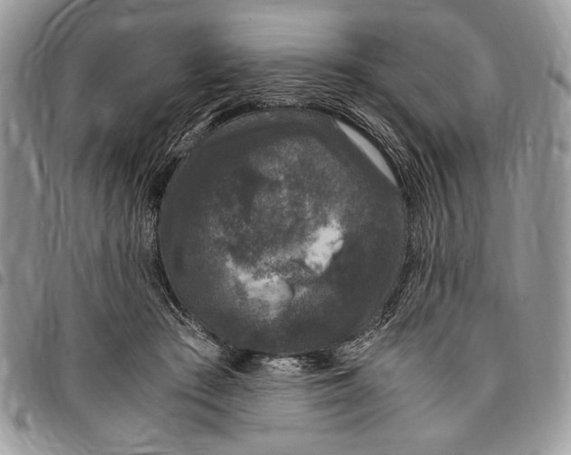 X0000096420409200802141639