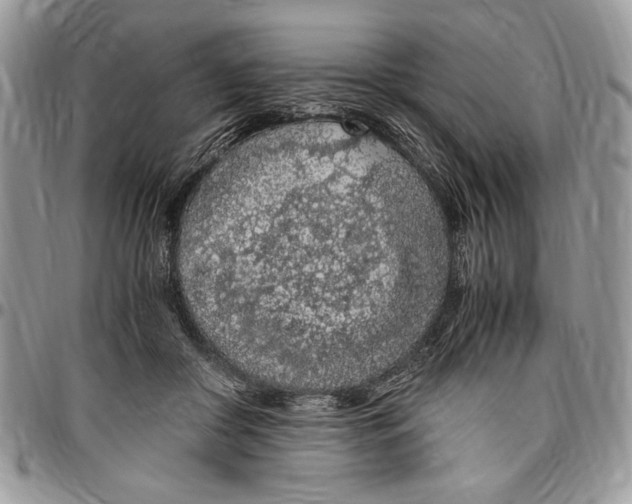 X0000096420410200802141639