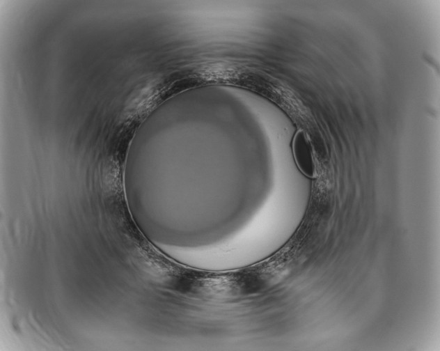 X0000096420411200802141639