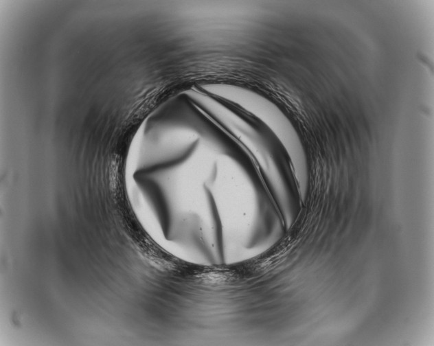 X0000096420412200802141639