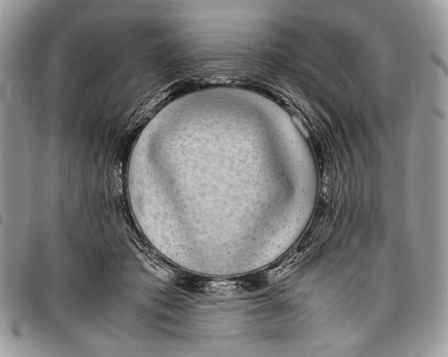 X0000096420413200802141639