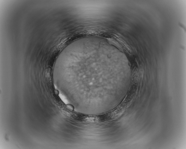 X0000096420415200802141639