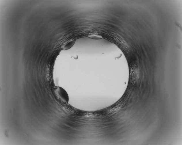 X0000096420416200802141639