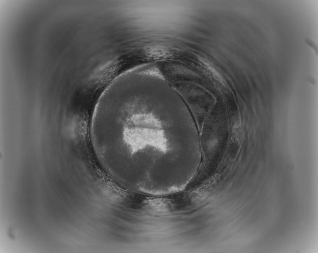 X0000096420417200802141639