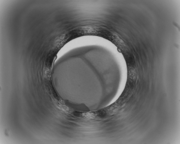 X0000096420419200802141639