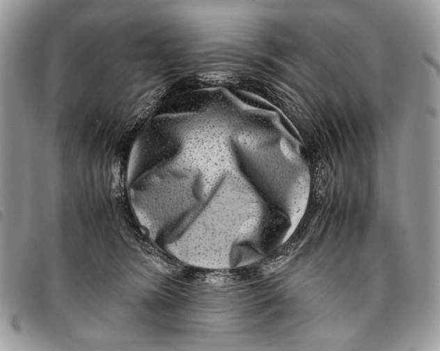 X0000096420420200802141639