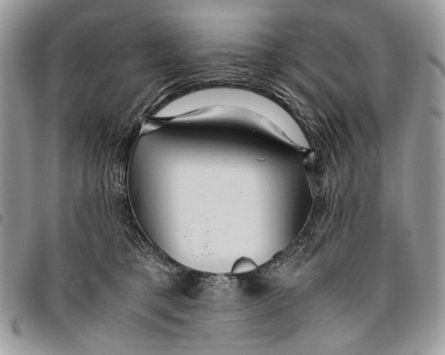 X0000096420421200802141639