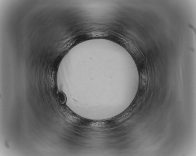 X0000096420422200802141639