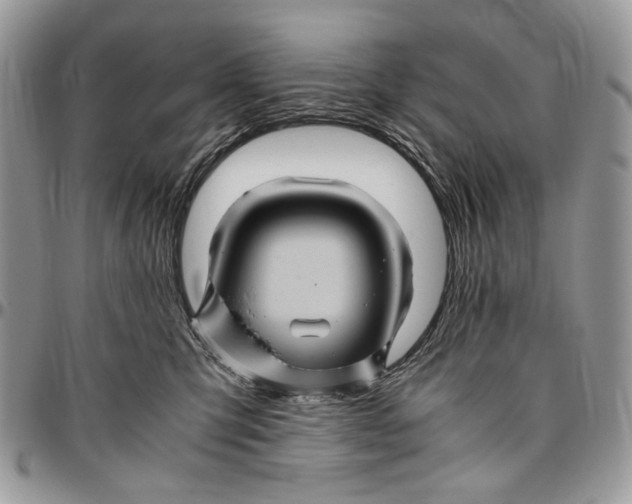 X0000096420423200802141639