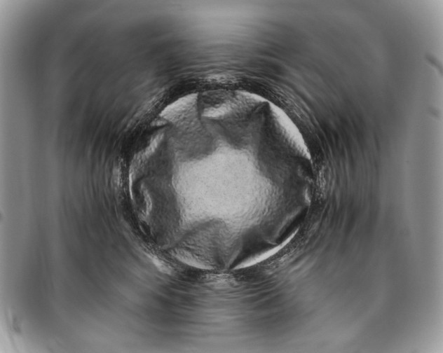 X0000096420424200802141639