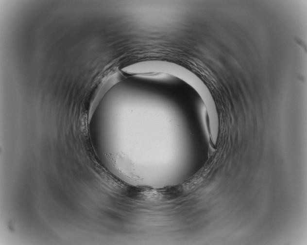 X0000096420425200802141639