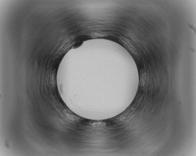 X0000096420426200802141639