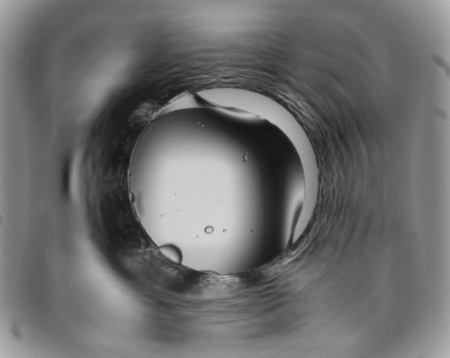 X0000096420429200802141638