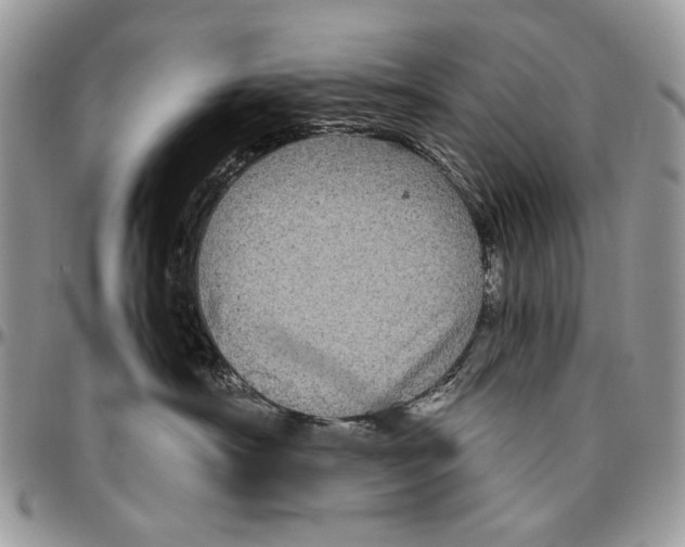 X0000096420430200802141638