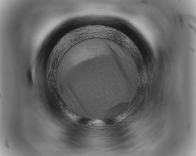 X0000096420431200802141638