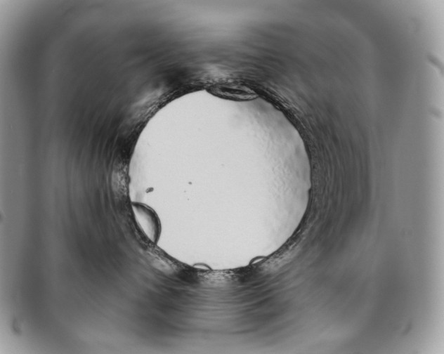 X0000096420432200802141638