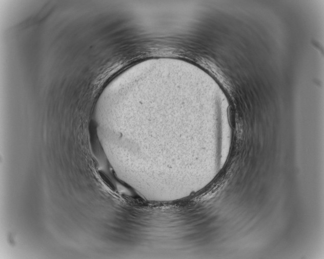 X0000096420433200802141638