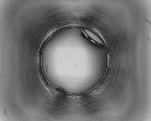 X0000096420435200802141638