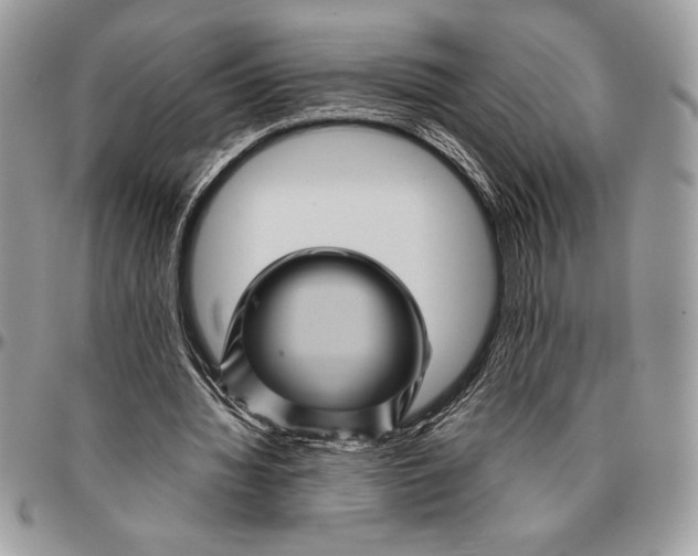 X0000096420436200802141638