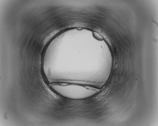 X0000096420437200802141638