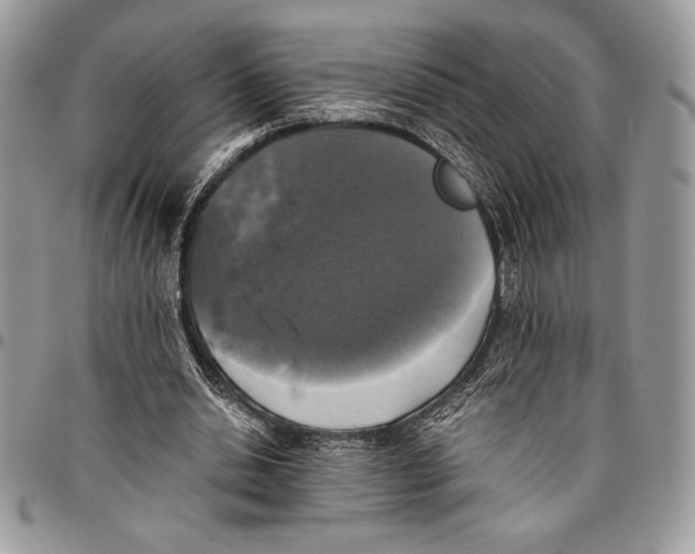 X0000096420438200802141638