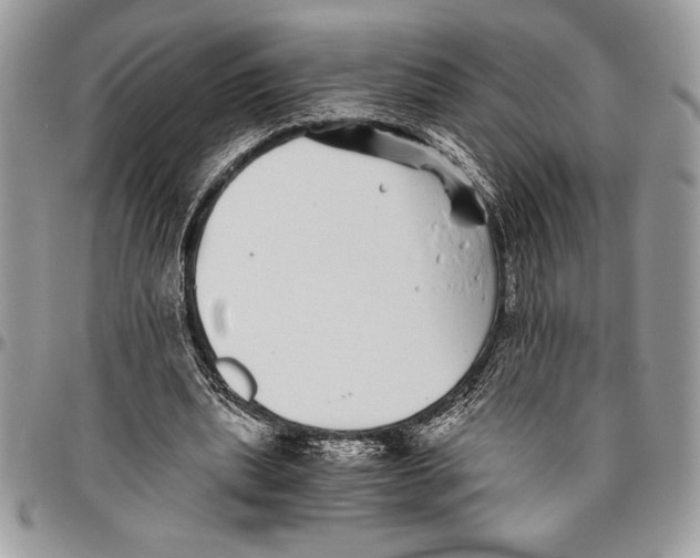 X0000096420439200802141638