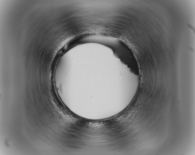 X0000096420440200802141638