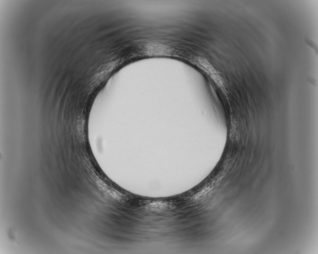 X0000096420441200802141638