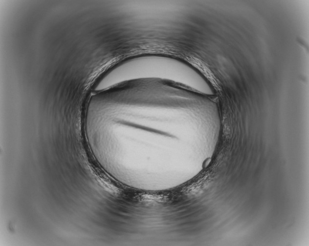 X0000096420442200802141638