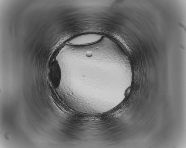 X0000096420443200802141638