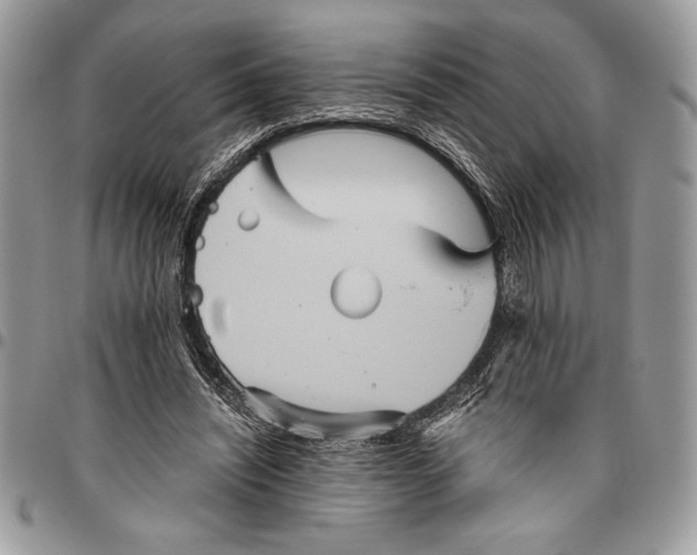 X0000096420444200802141638