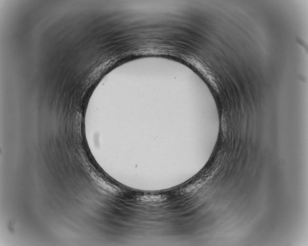 X0000096420445200802141638