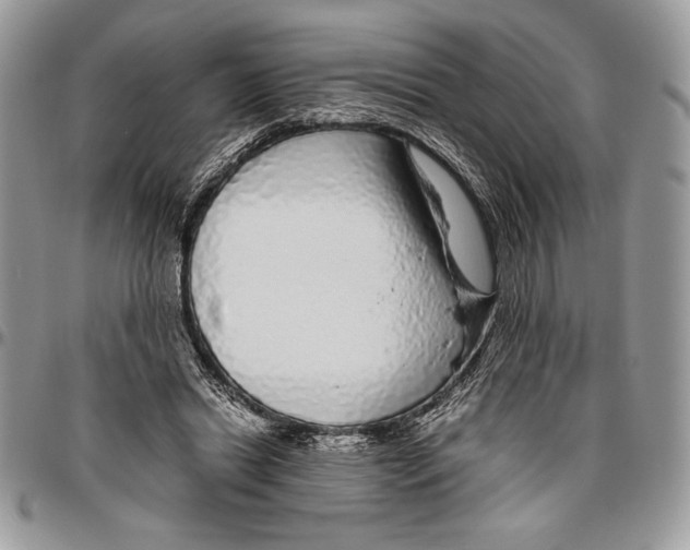 X0000096420446200802141638