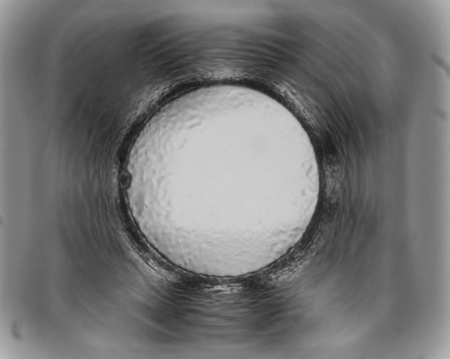 X0000096420447200802141638