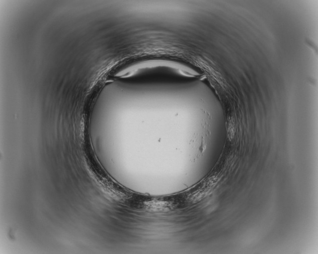 X0000096420448200802141638