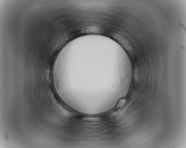 X0000096420449200802141638