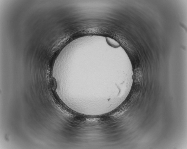 X0000096420450200802141638