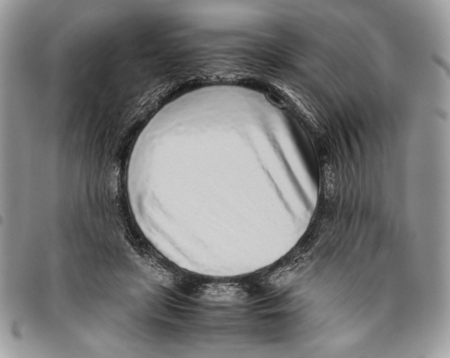 X0000096420451200802141638