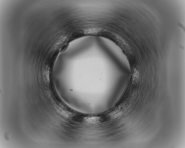 X0000096420452200802141638