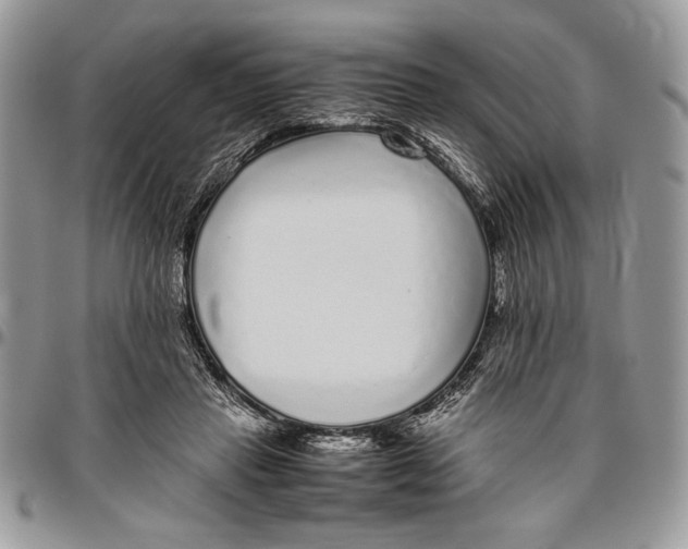 X0000096420453200802141638