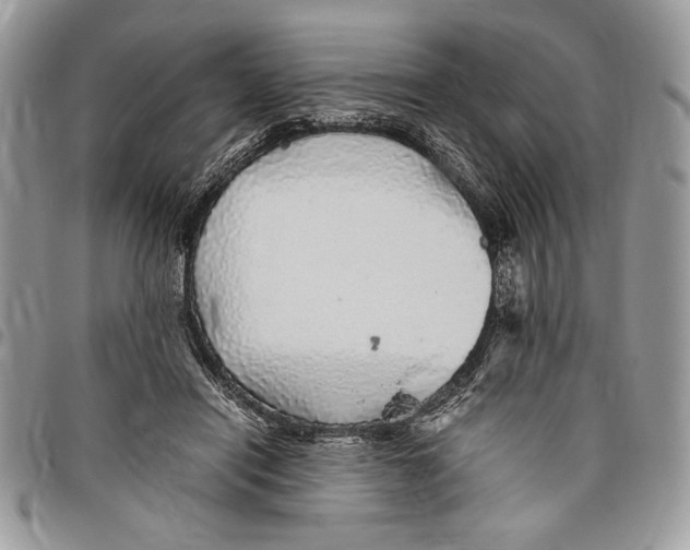 X0000096420454200802141638