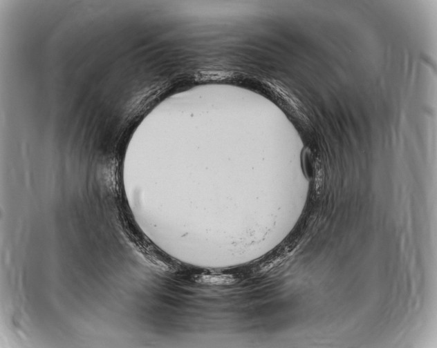 X0000096420455200802141638