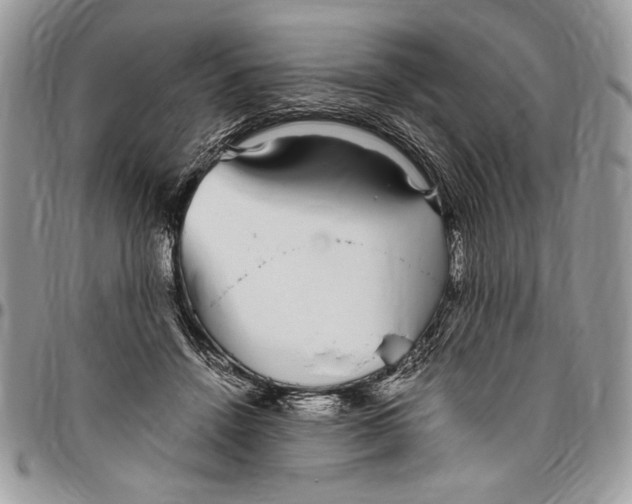 X0000096420456200802141638