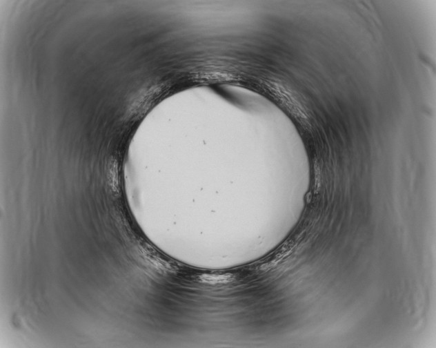 X0000096420457200802141638