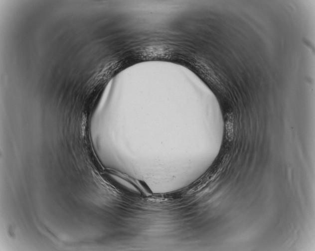 X0000096420458200802141638