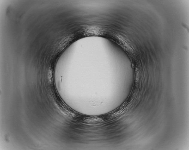 X0000096420459200802141638